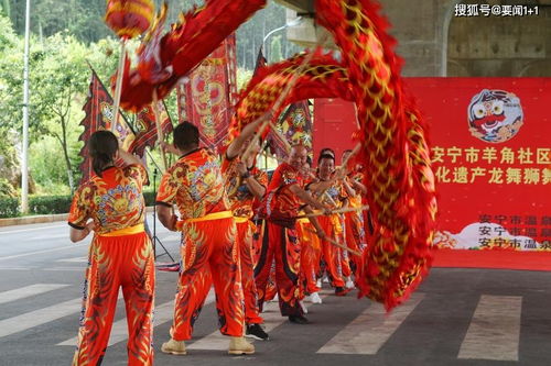 春节龙舞、狮舞的区别与文化意义
