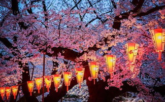 日本的樱花节是