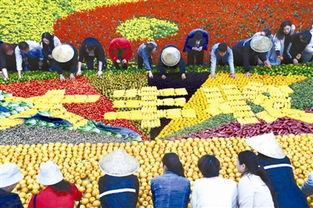 丰收节主题定位