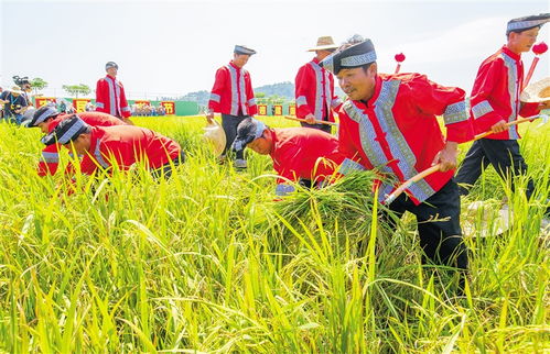 丰收节对农民的意义