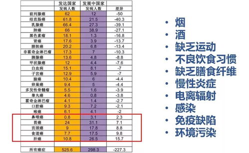 中国节日礼仪的演变与发展过程