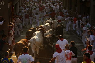 西班牙奔牛节的起源