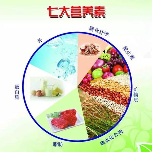 中国素食的起源与发展