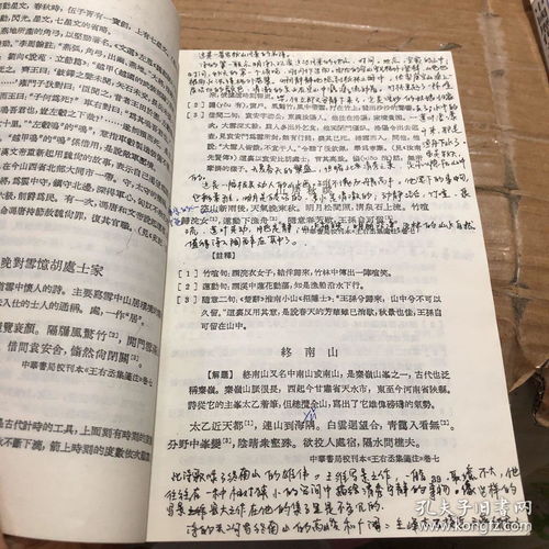 文学作品里的数字怎