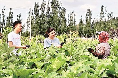 农业科技种植技术网