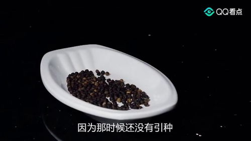 中国饮食文化的发展史
