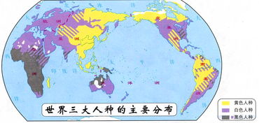 不同人种的差异