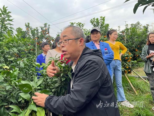 传统种植技术的好处