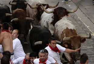 西班牙奔牛节是几月