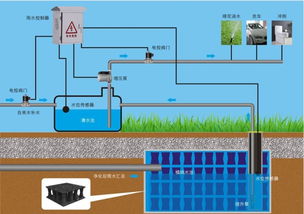 实现雨水资源化的措