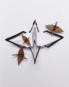折纸鹤的拼音